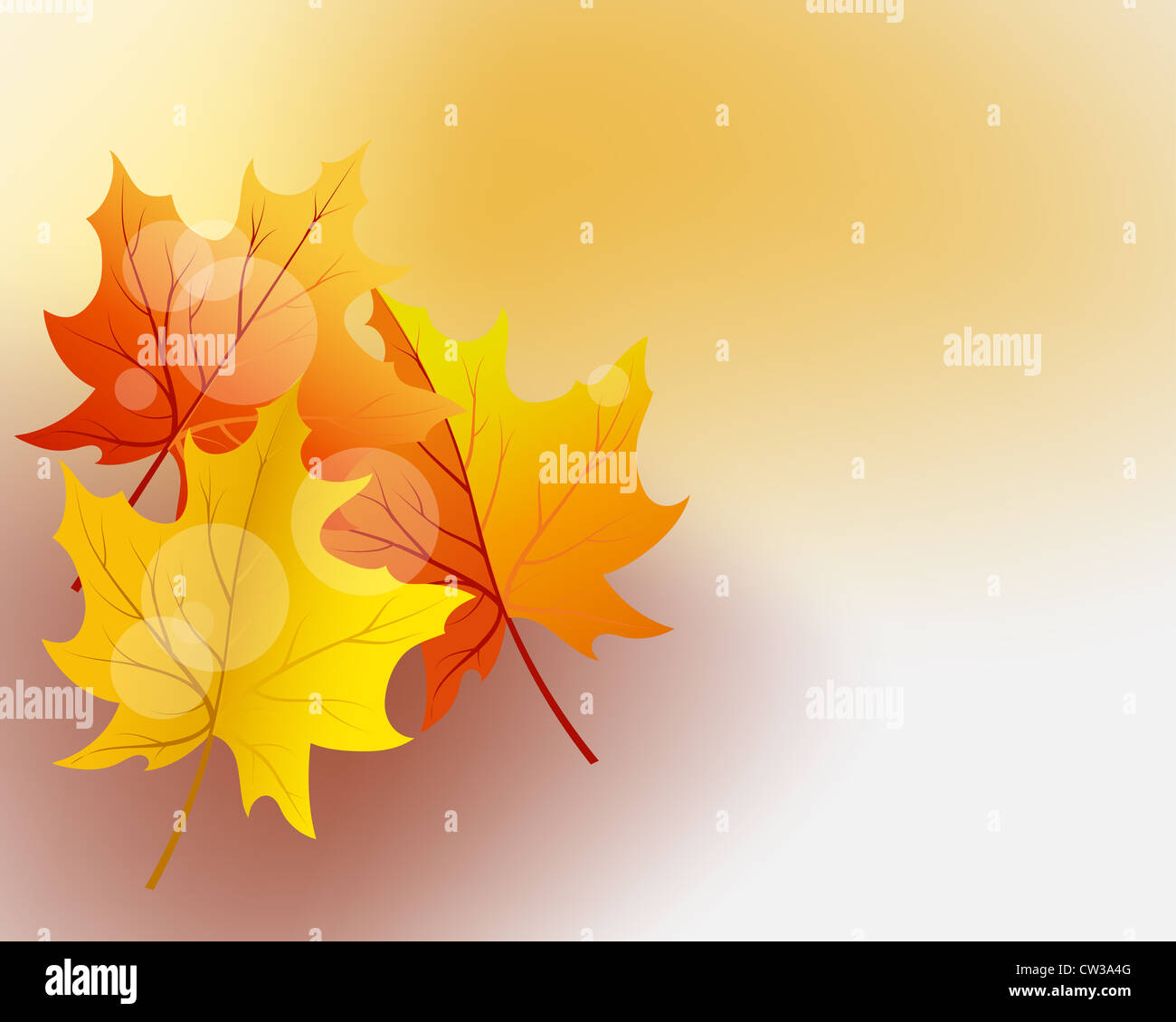 Autumn maples falling leaves background. Vector illustration Stock ...