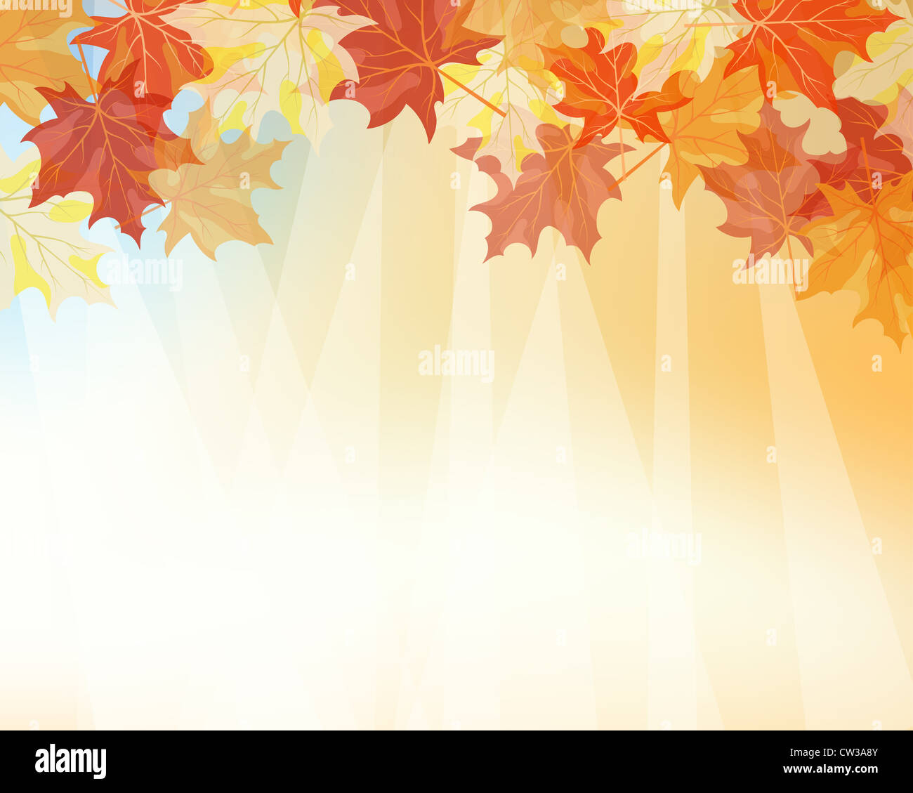 Autumn maples falling leaves background. Vector illustration Stock ...