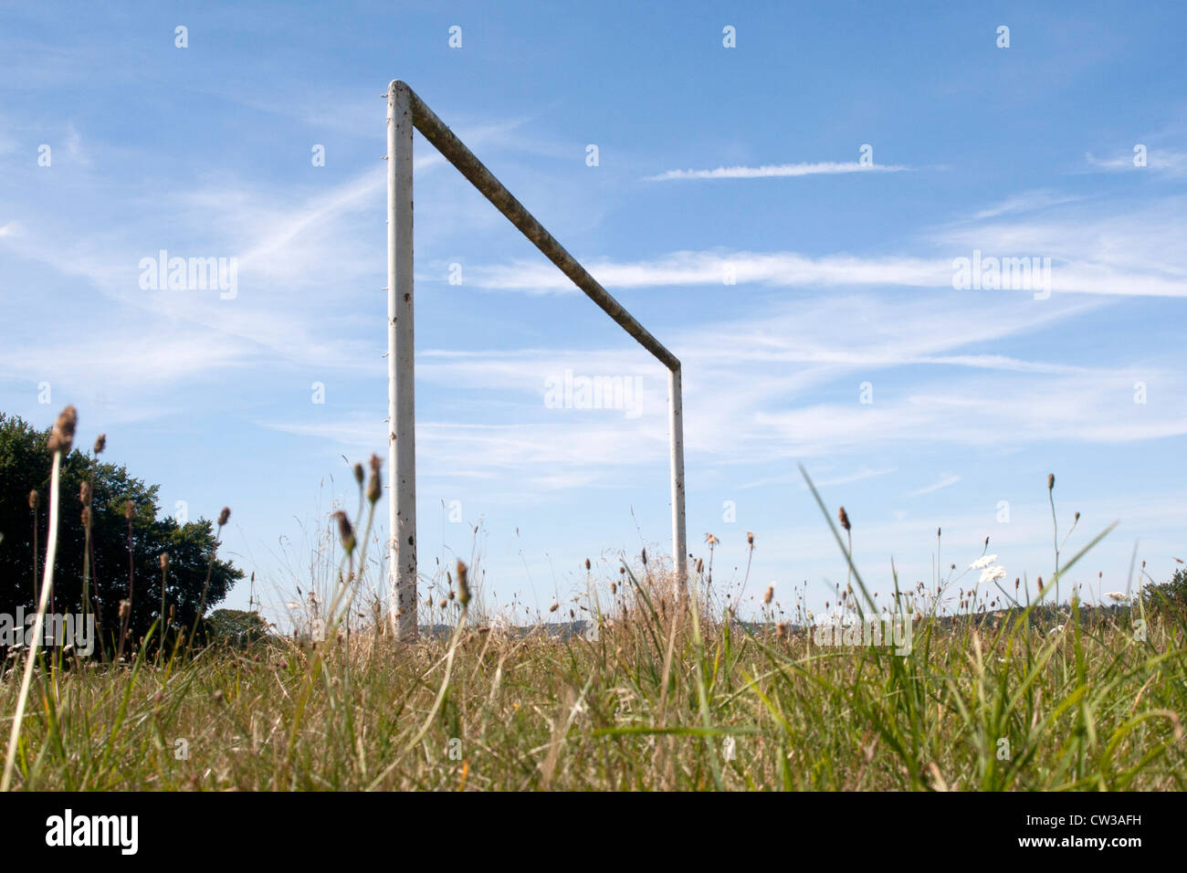 Overgrown football pitch community playing field Stock Photo Alamy