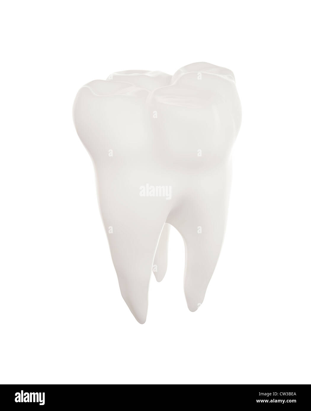 Tooth Stock Photo