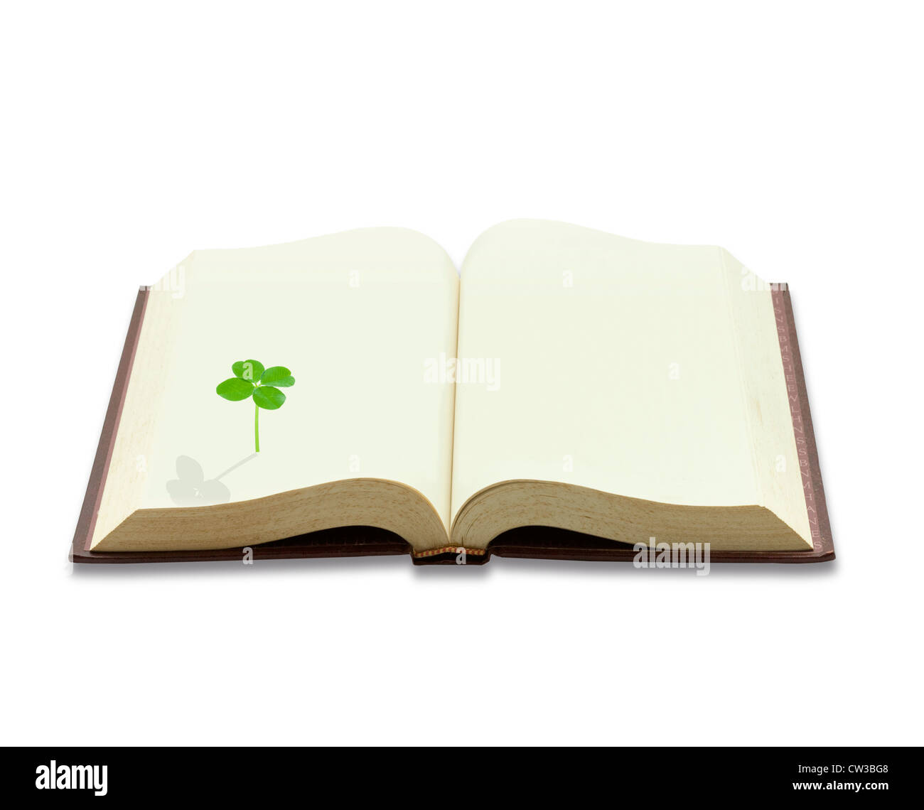 Four leafed clover on the book Stock Photo