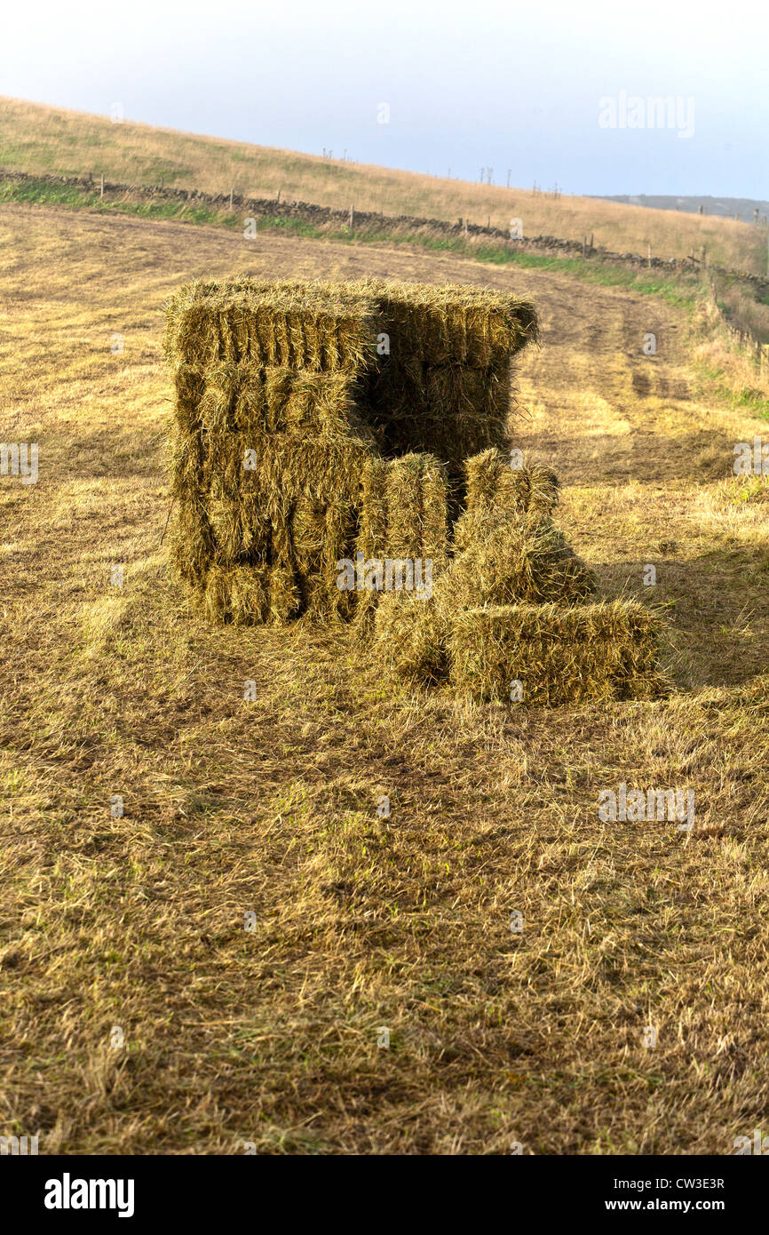 Old Fashioned Hay Bales Stock Photo Alamy