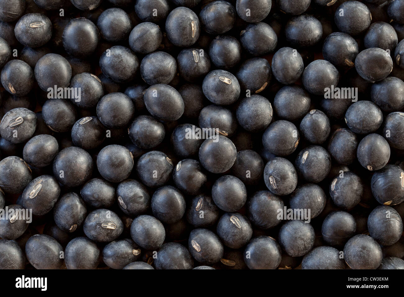 Black beans Stock Photo