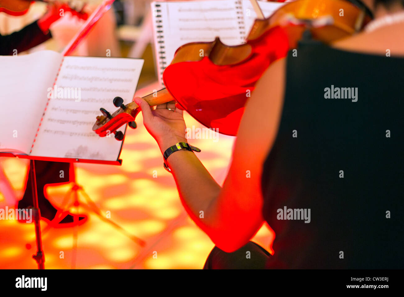 woman playing violin, view from behind Stock Photo