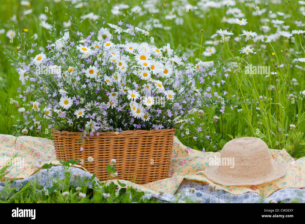 Basket full of marguerite and straw hat Stock Photo