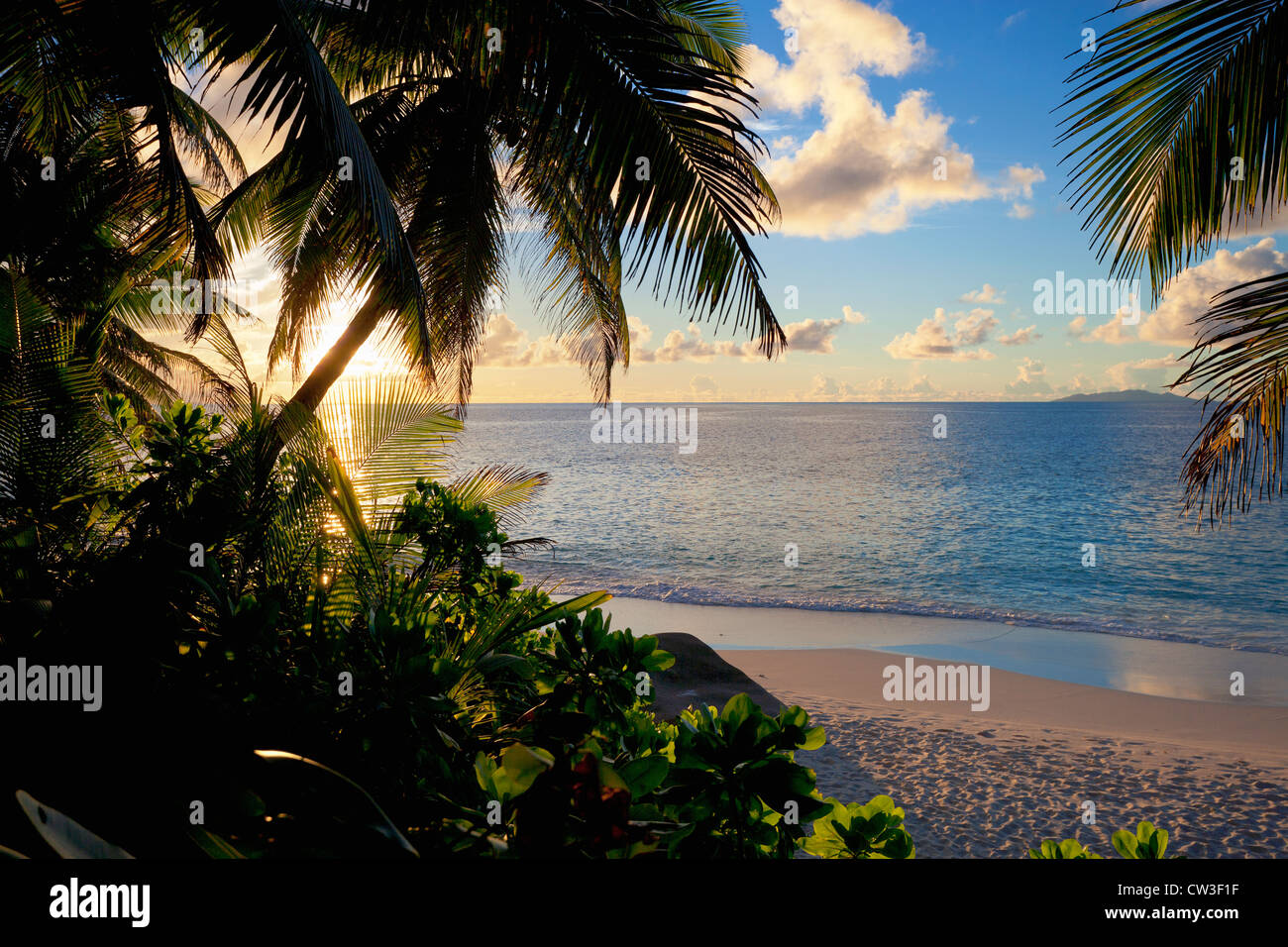 View of beach through coconut palms. Fregate Island. Seychelles.Reputed to be one of the world's most beaufitul beaches Stock Photo