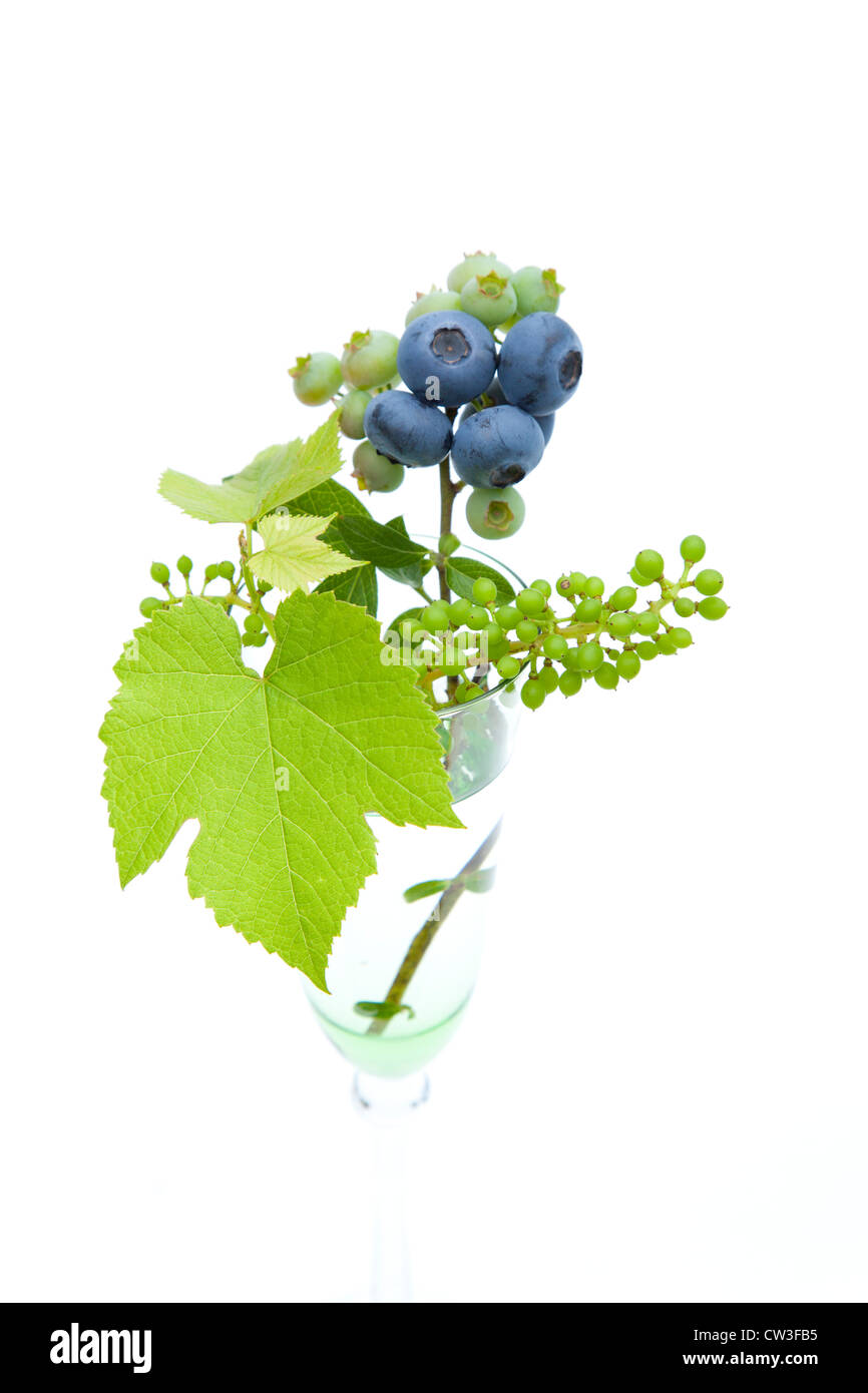 Blueberries and unripe grapes Stock Photo