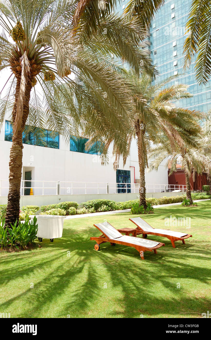 Sunbeds on the green lawn and palm tree shadow in luxury hotel, Dubai
