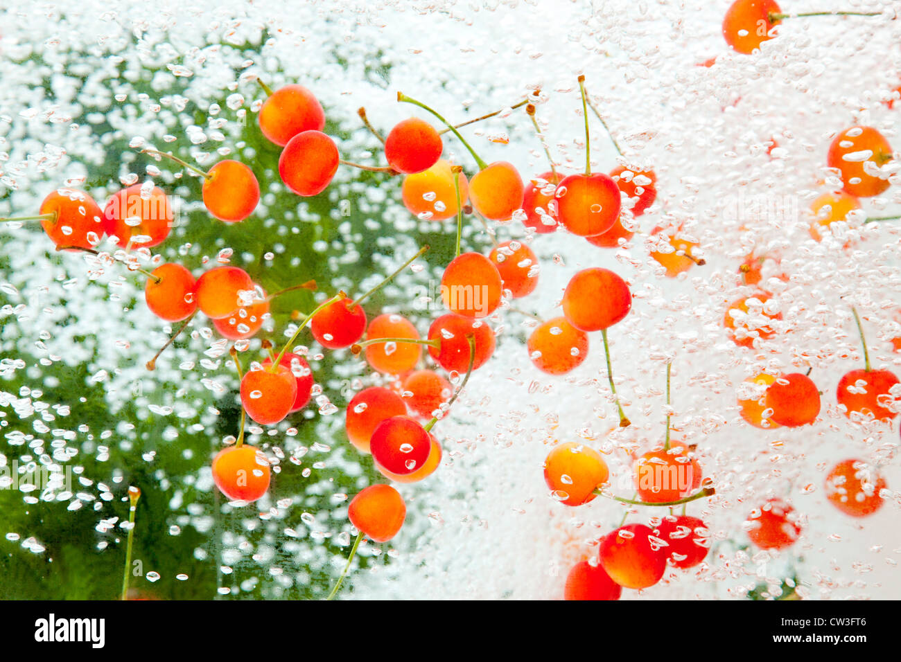 Cherries under water Stock Photo