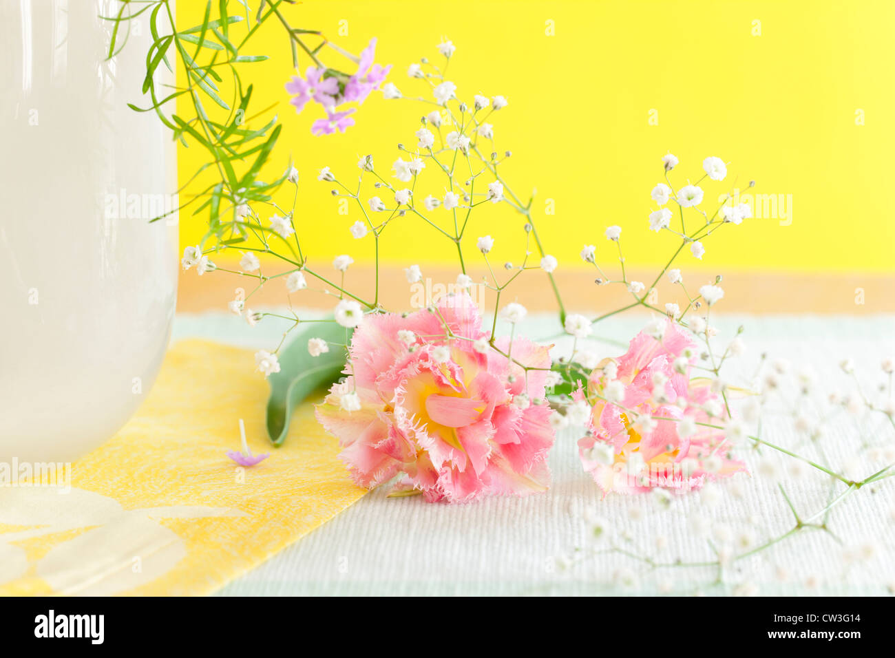 Tulips and Gypsophila Stock Photo