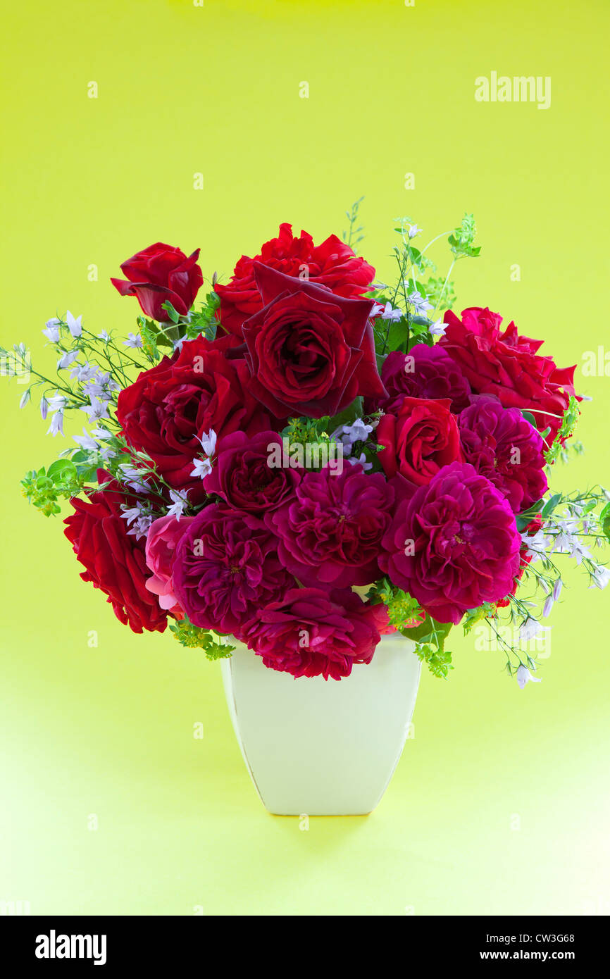 Roses in vase Stock Photo