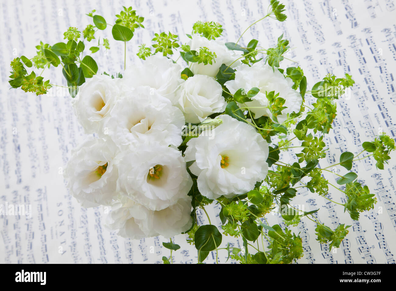 Bouquet of flowers Stock Photo