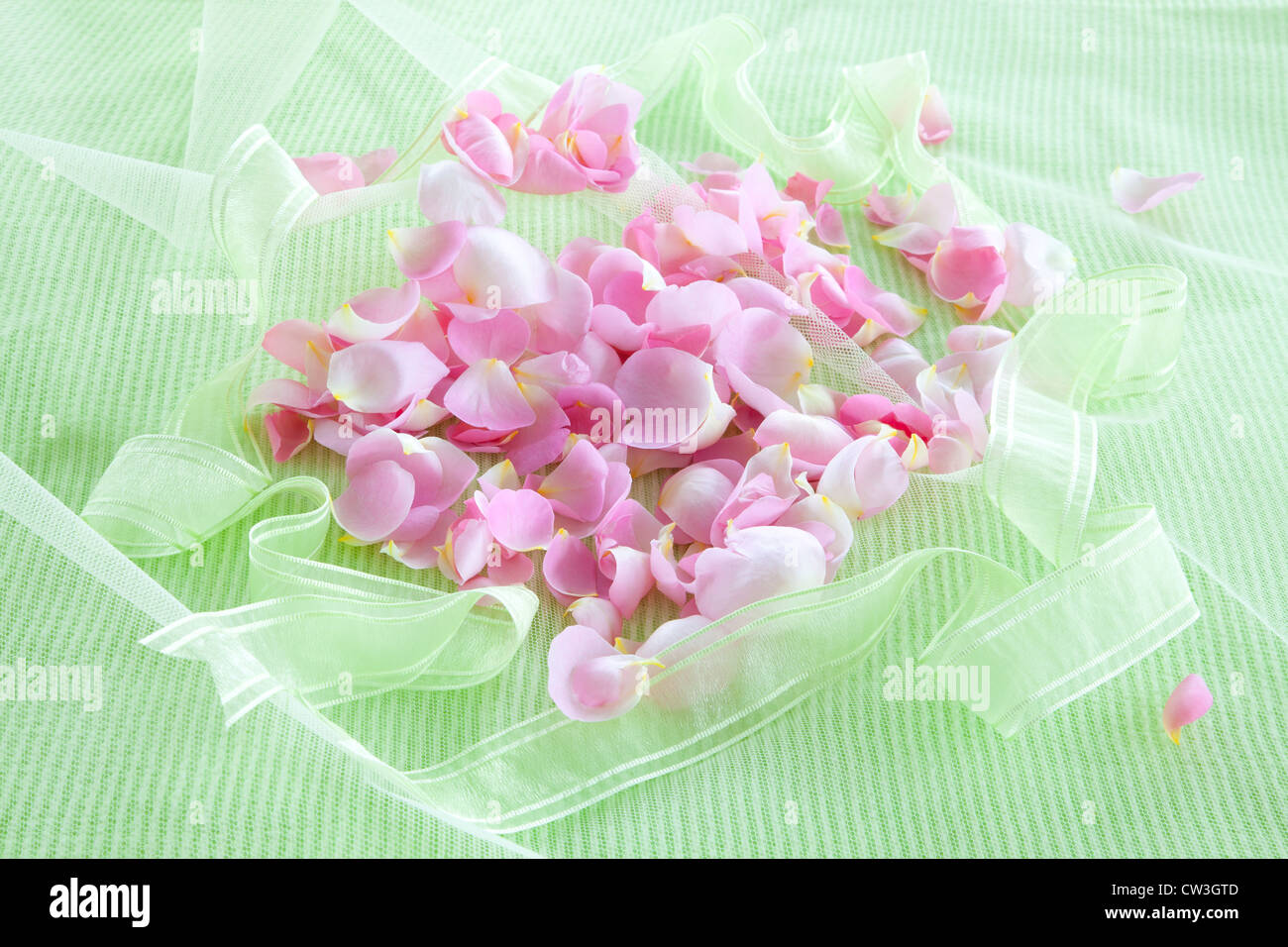 Petals on organdy Stock Photo