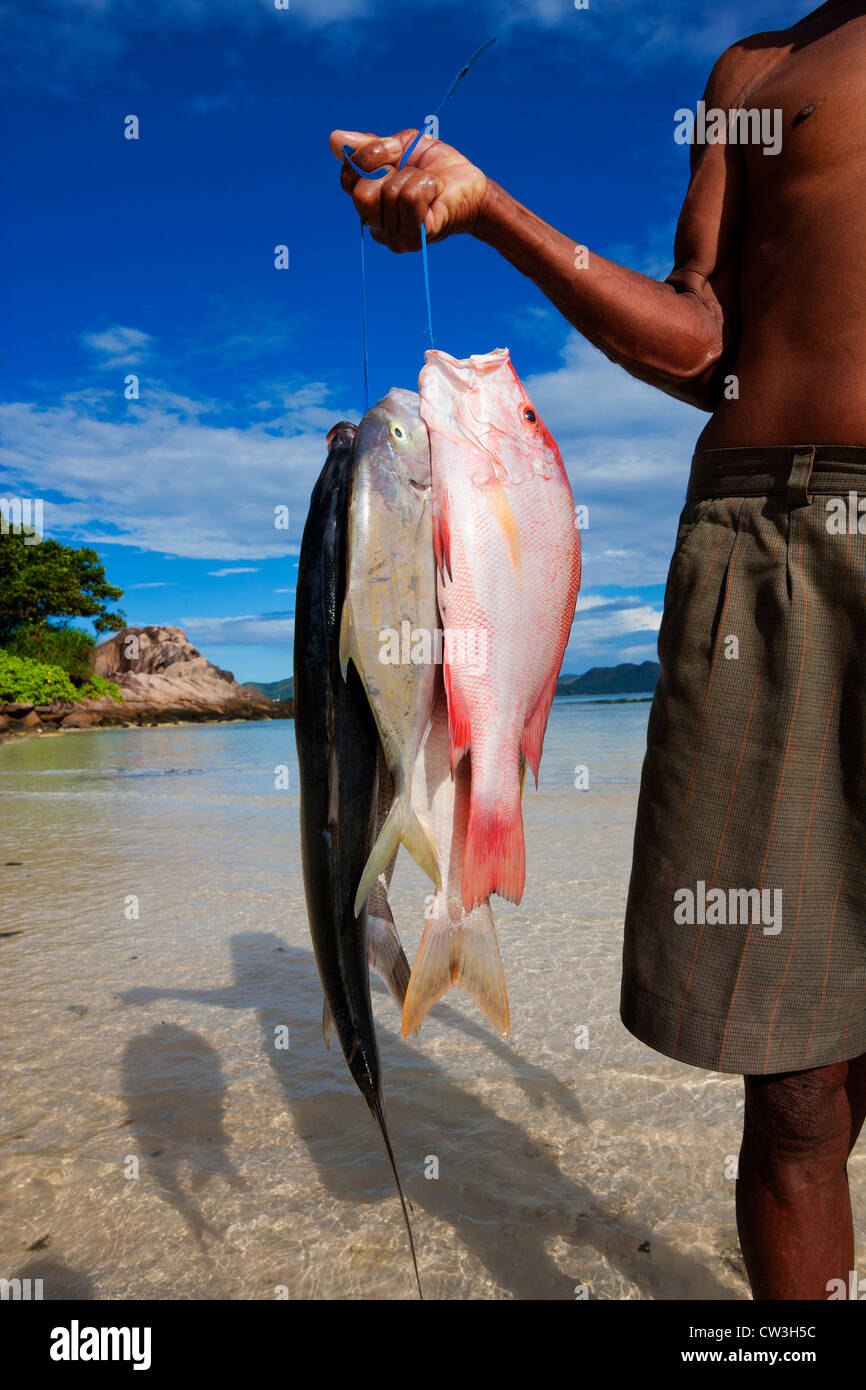 Man with his catch of the day fish. La Digue Island. Seychelles Stock