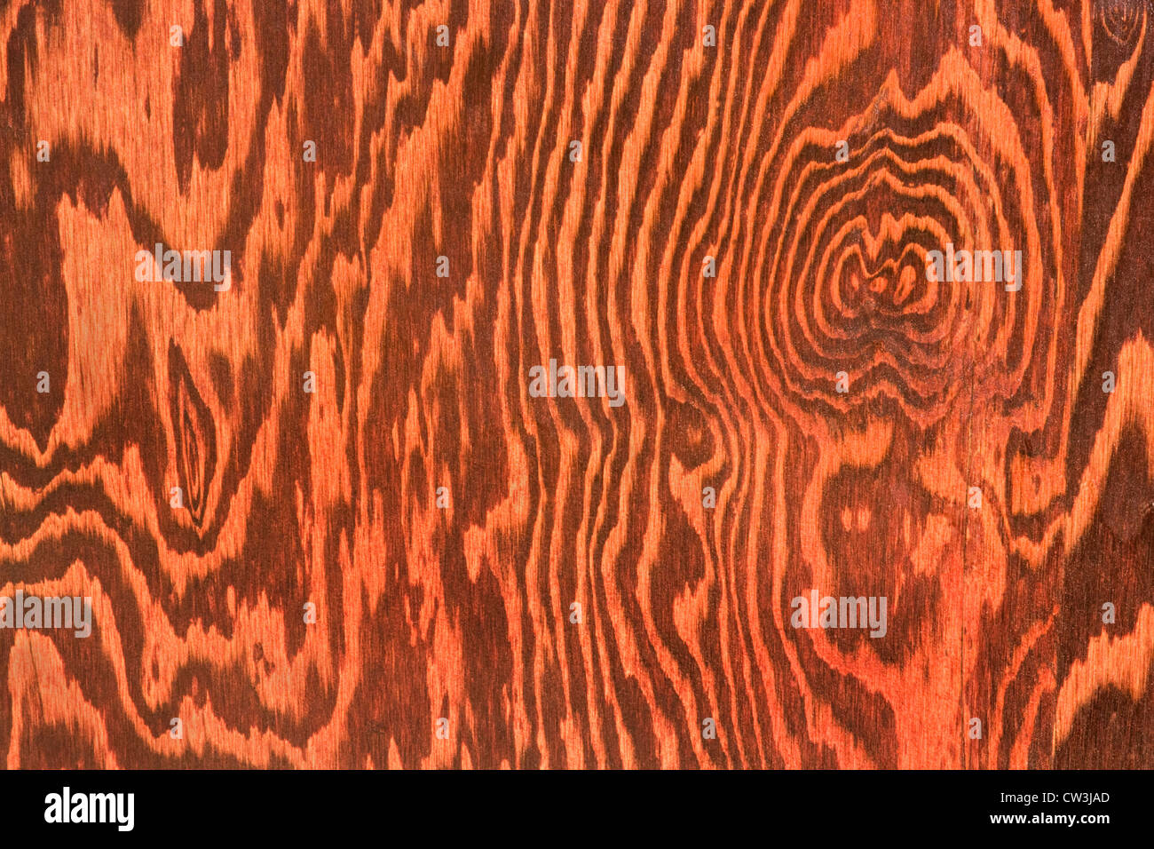 Closeup of stained plywood grain Stock Photo Alamy