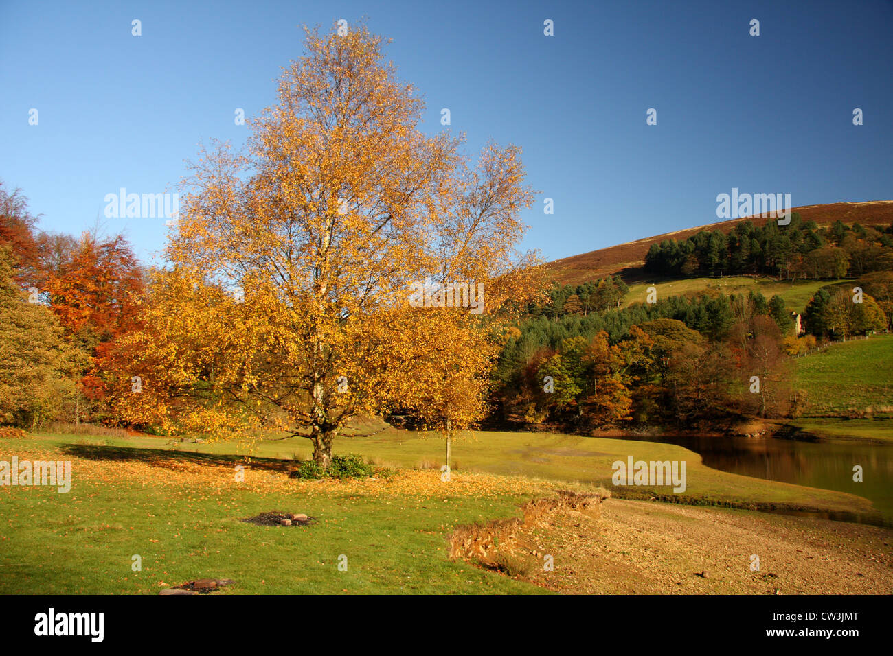 autumn-colours-at-ladybower-reservoir-in-th-upper-derent-valley-peak