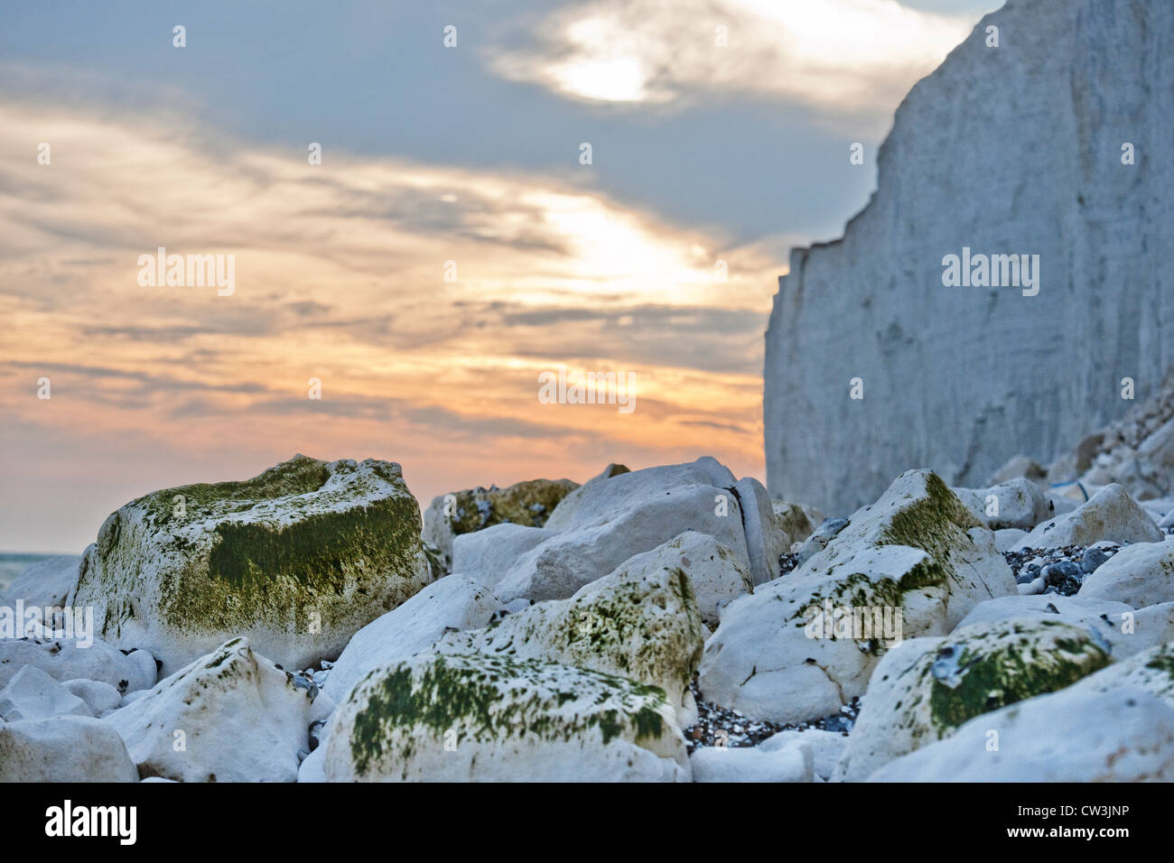 Chalk cliffs and chalk rock on the beach between Beachy Head and Birling Gap, East Sussex England UK late summer's afternoon Stock Photo