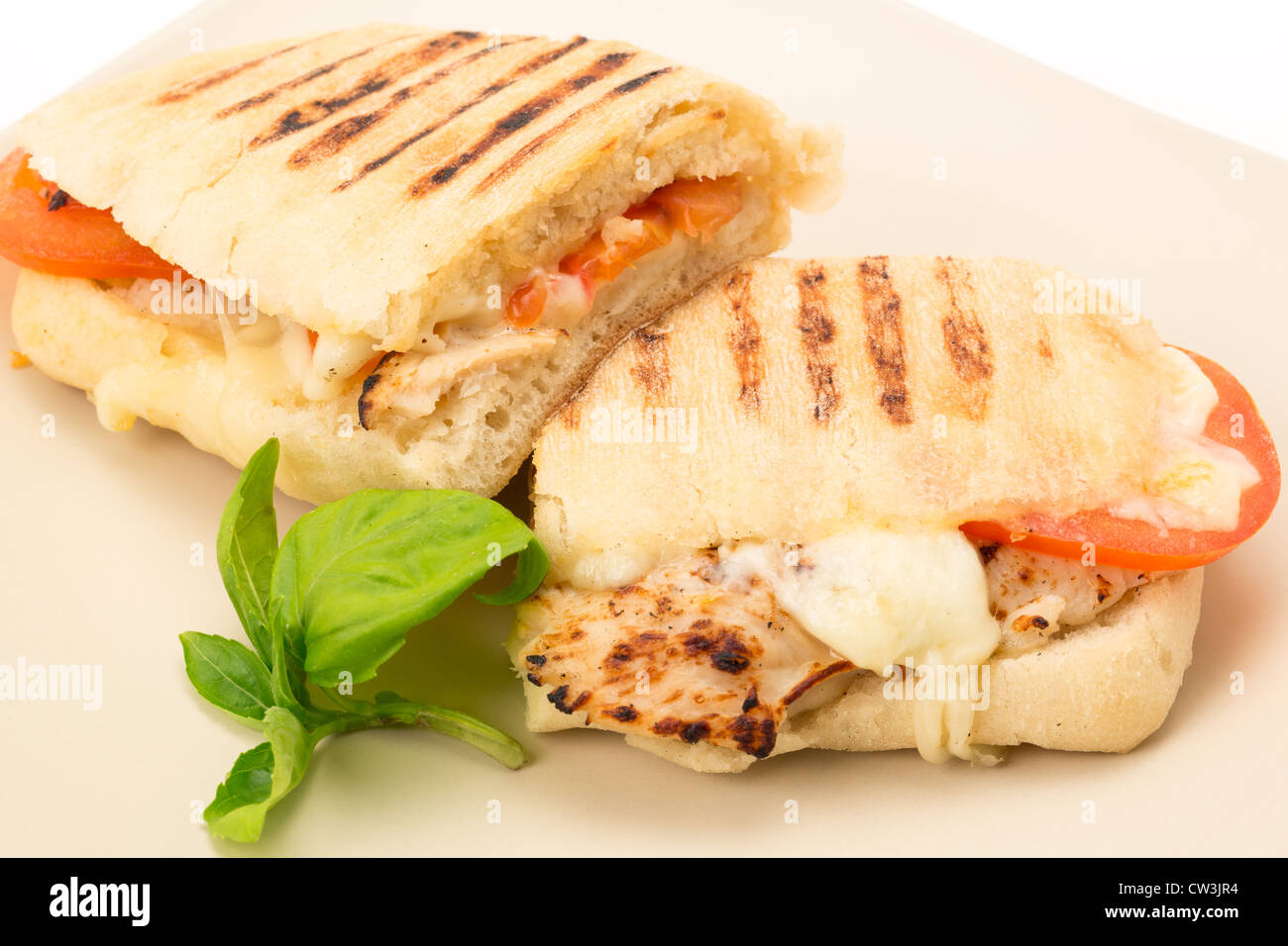 Toasted Chicken, tomato and mozzarella Panini sandwich that has been cut in half and placed on a plate - studio shot Stock Photo