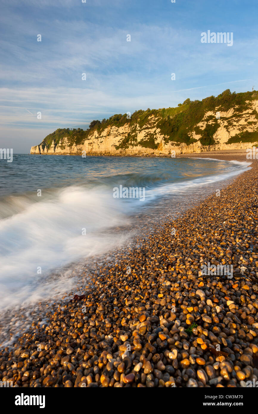 Beach in Beer, Lyme Bay, Jurassic Coast part of the South West Coastal Path, Devon, England, UK Stock Photo