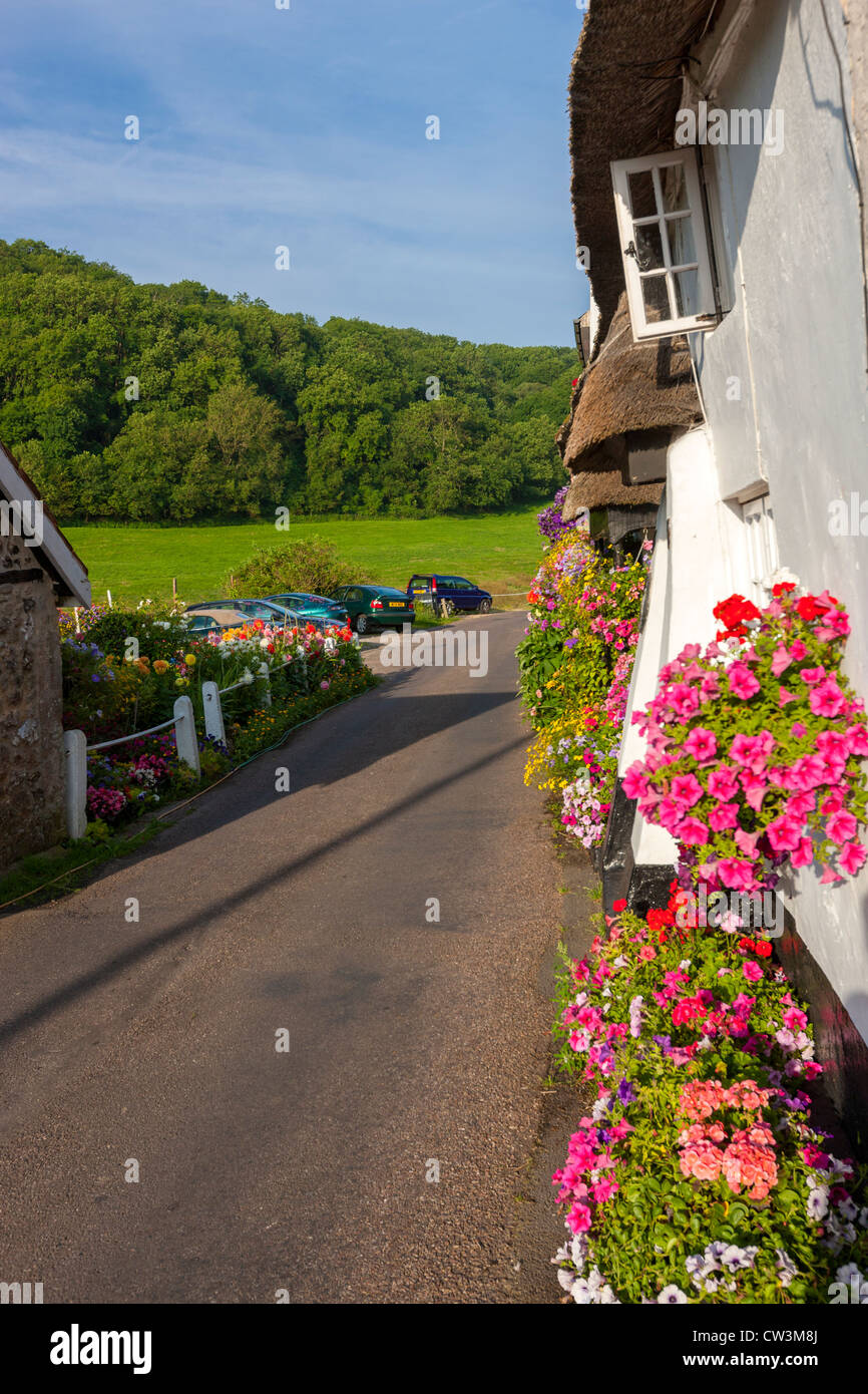 Cottage in Devon, England, United Kingdom, Europe Stock