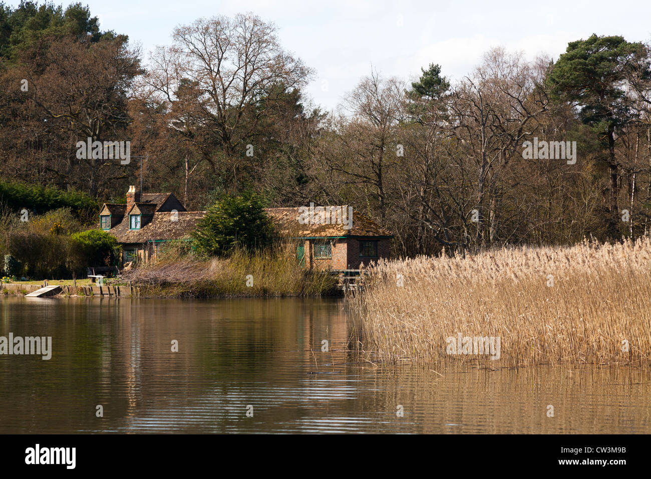 house in the forest by Fenesham Little Pond Lake Stock Photo