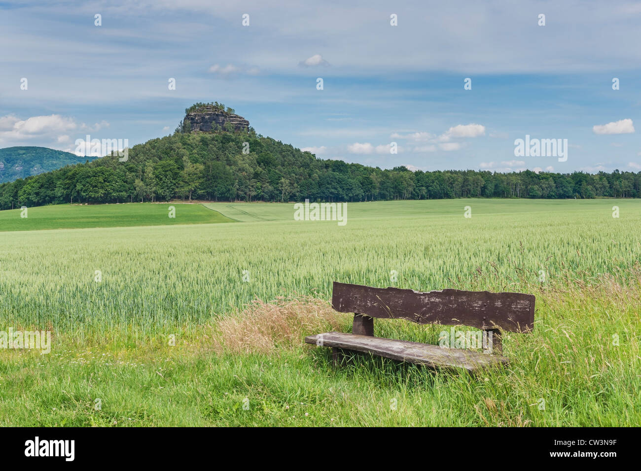 The Zirkelstein rock, Reinhardtsdorf Schoena, Saxon Switzerland near