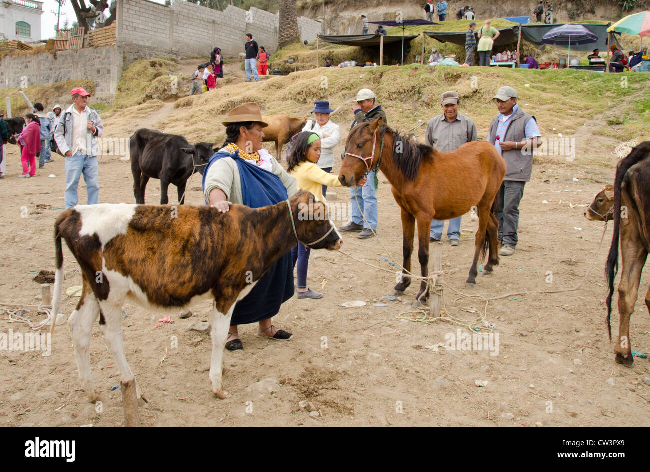 Ecuador, Quito area. Otavalo Livestock Market. Local Otavalenos woman in traditional highland attire. Stock Photo