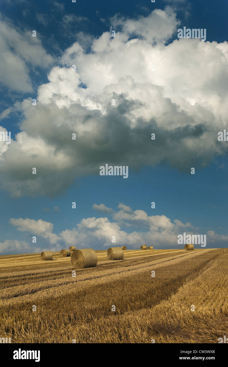 Stubble and straw bales after Harvest Norfolk August Stock Photo - Alamy