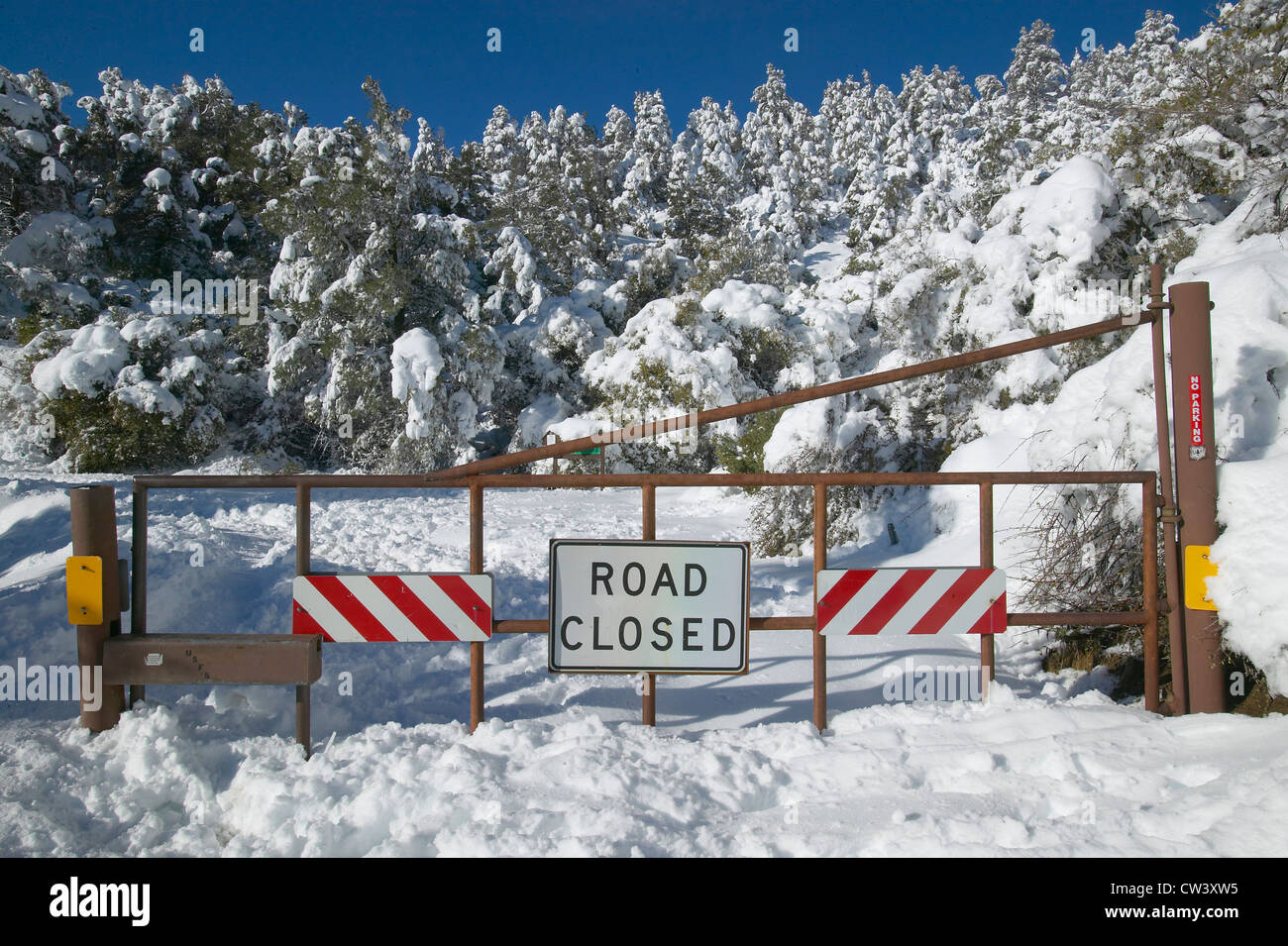 ?Road Closed? sign after fresh snowfall along Highway 33 north of Ojai