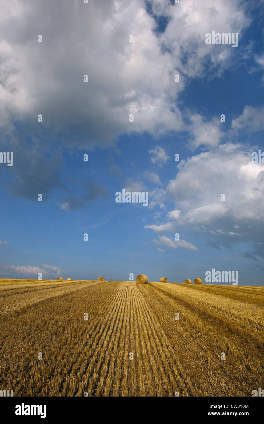 Stubble and Straw Bales after Harvest Norfolk August Stock Photo - Alamy