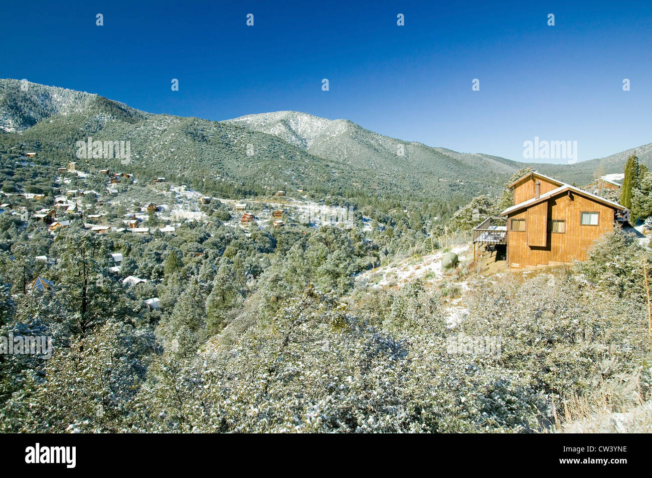 Snowy Landscape With Mountain Cabin After Winter Storm In Pine