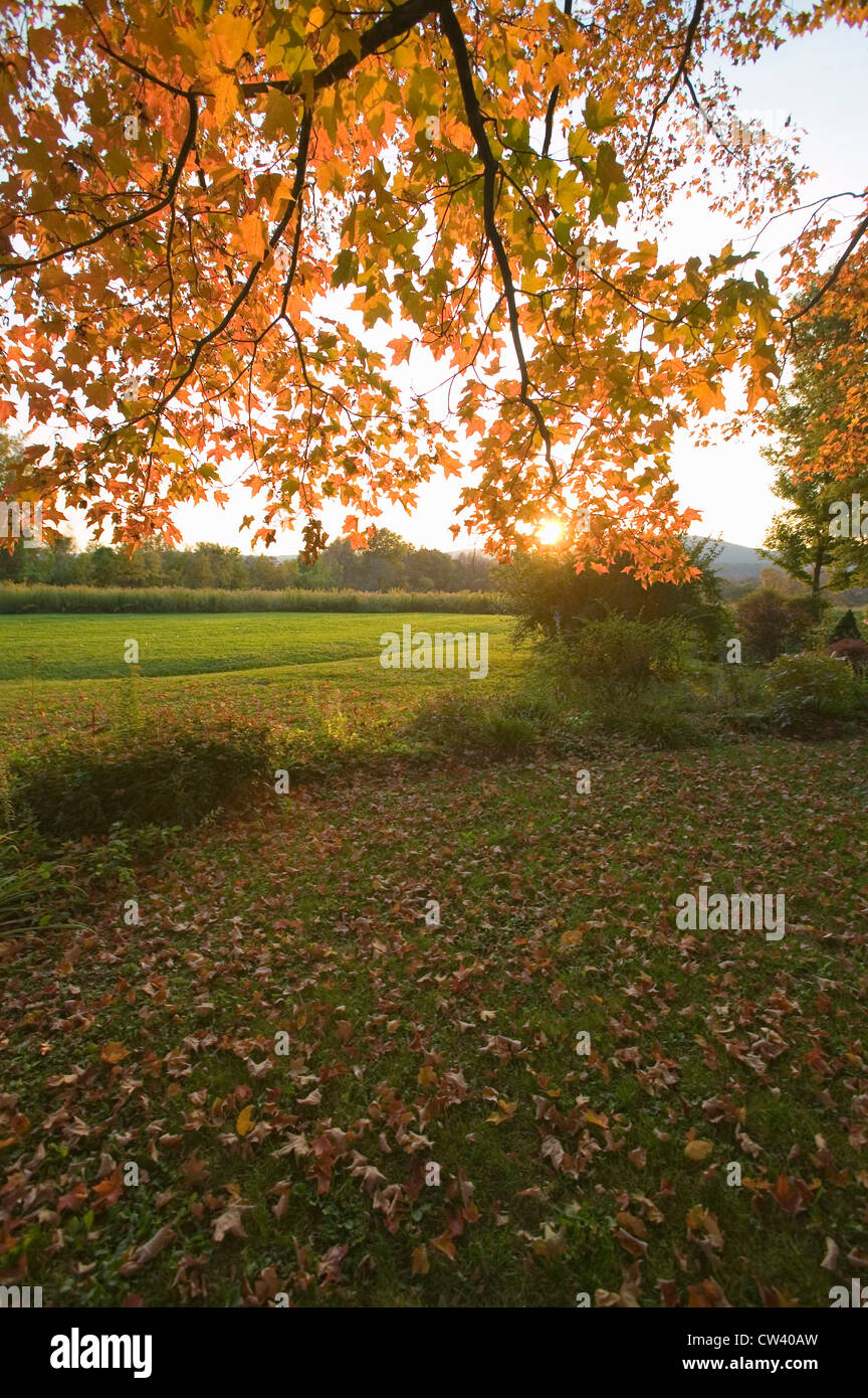 Autumn leaves and red barn at sunset in Litchfield Hills of Connecticut Stock Photo