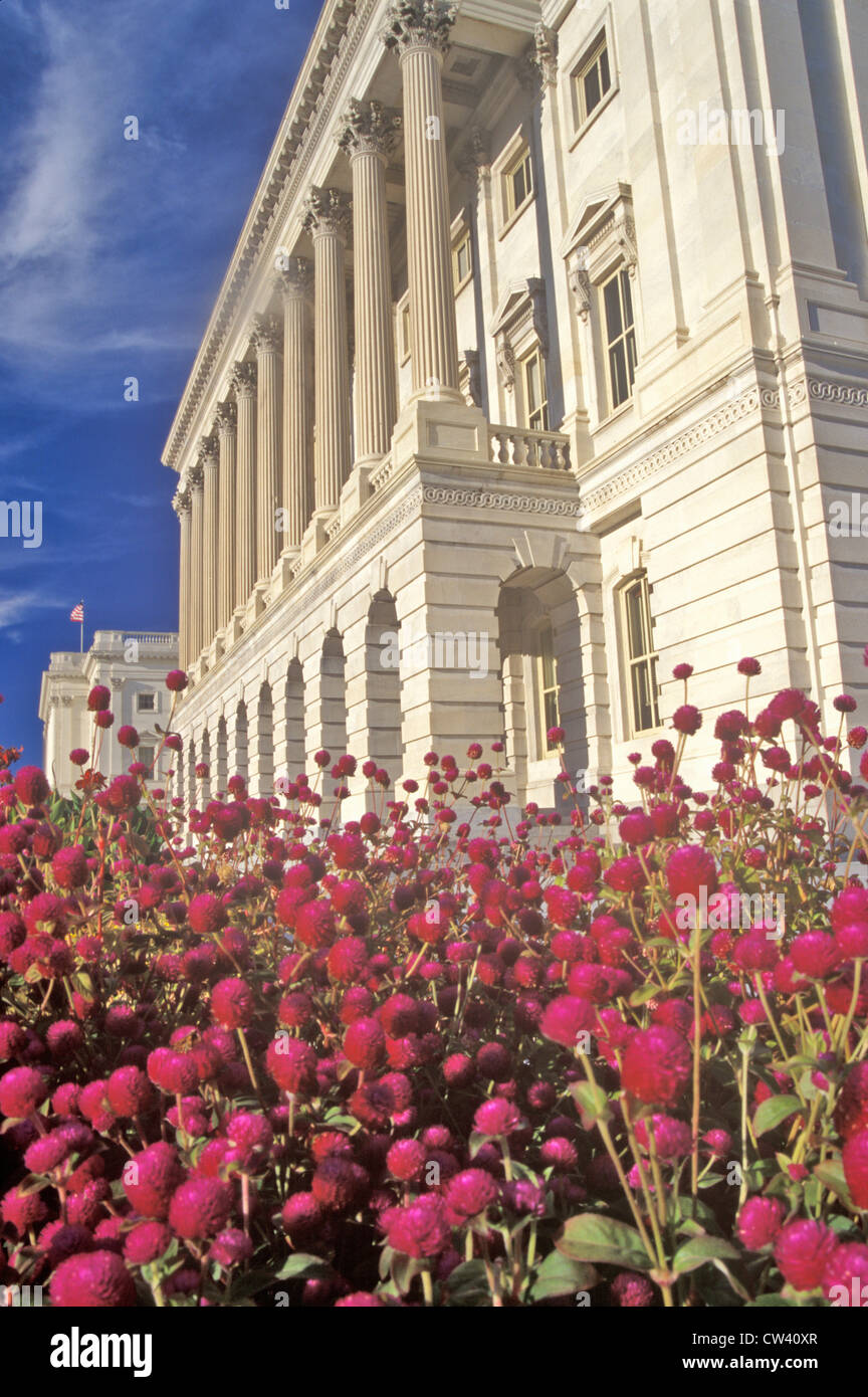 Library of Congress, Washington, DC Stock Photo - Alamy