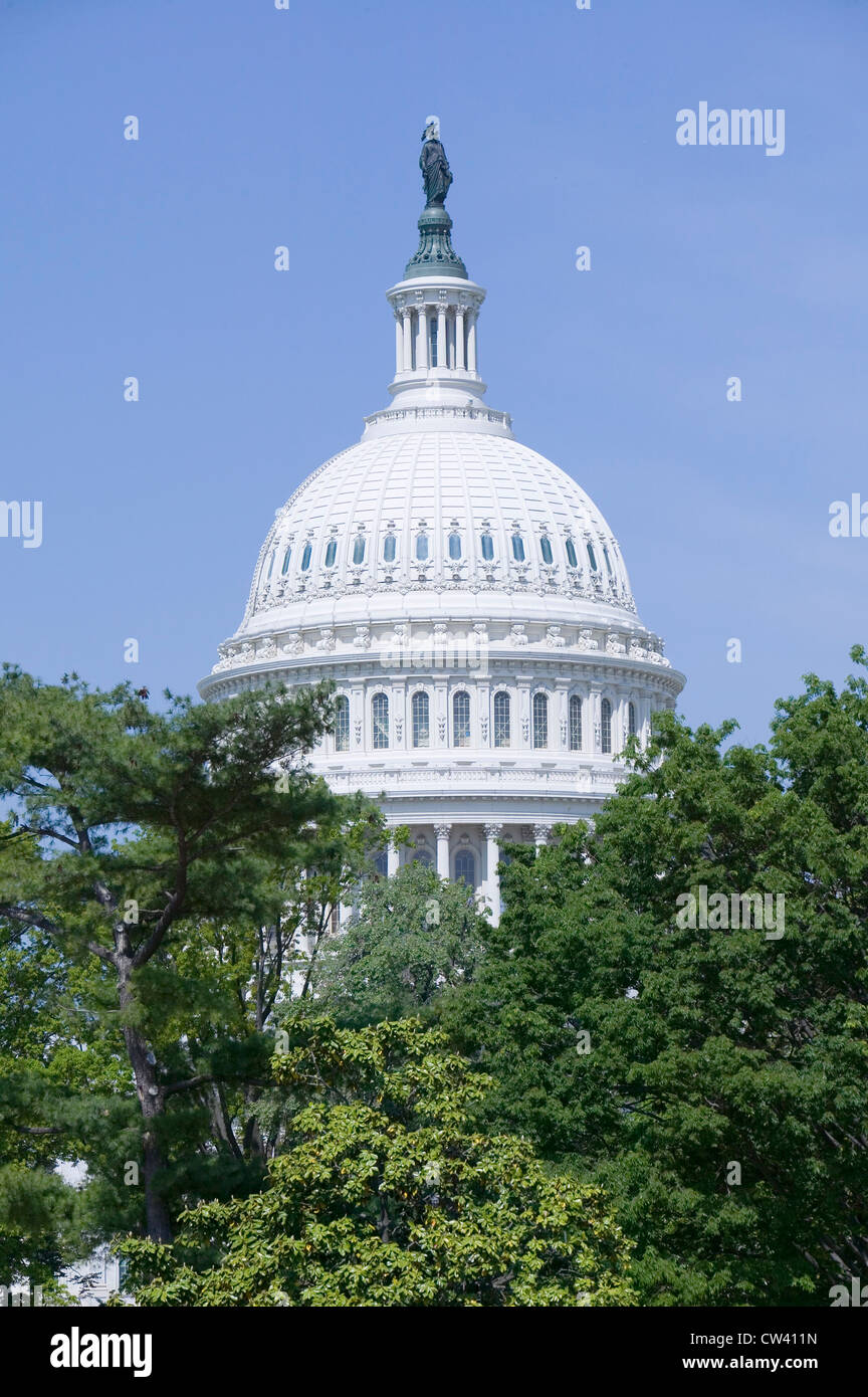 U.S. Capitol Dome with Statue of Freedom atop overlooking Washington D