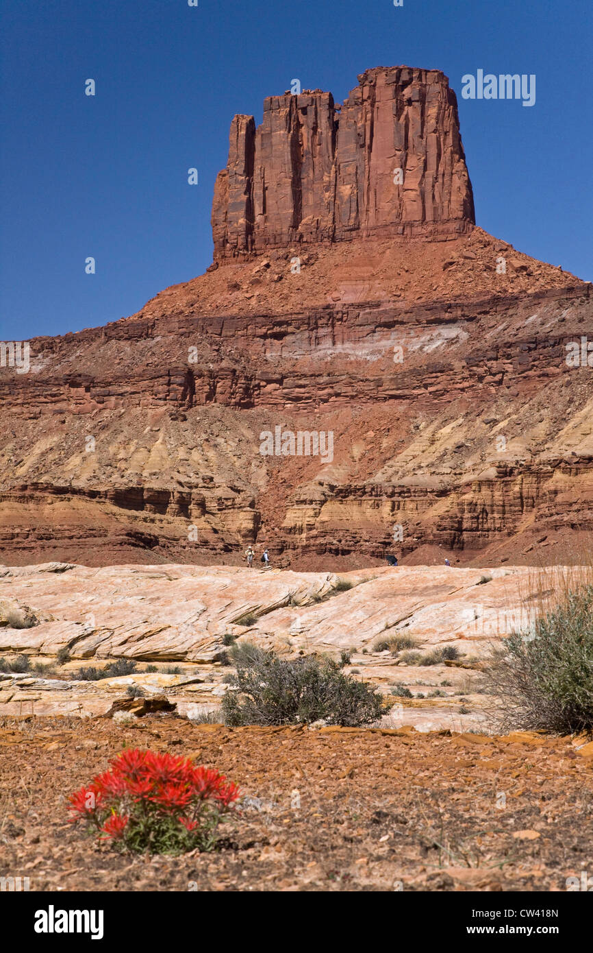 Sedimentary rock landscape hi-res stock photography and images - Alamy
