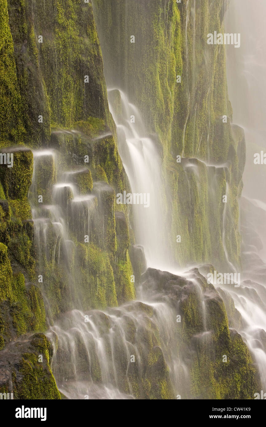 Waterfall on a mountain, Proxy Falls, Willamette National Forest, Oregon, USA Stock Photo