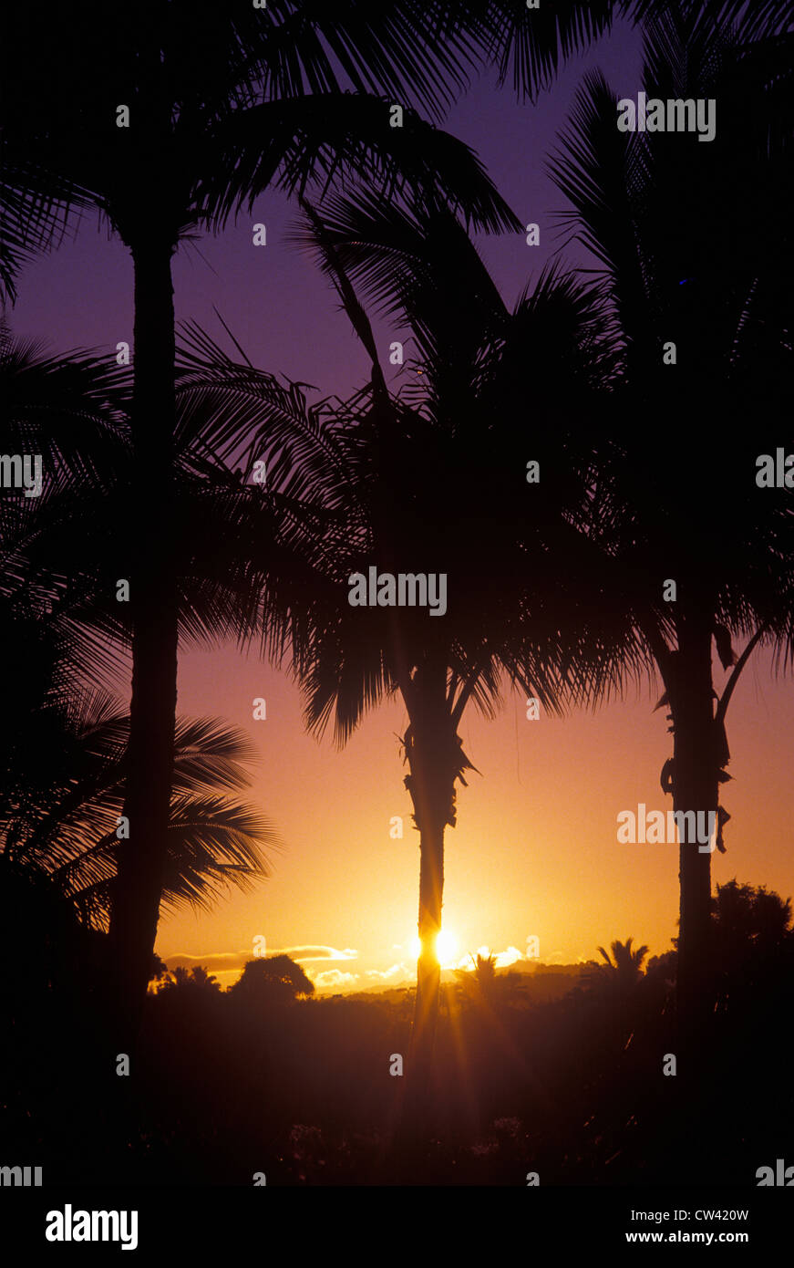 Sunset hawaii usa silhouette hi-res stock photography and images - Alamy