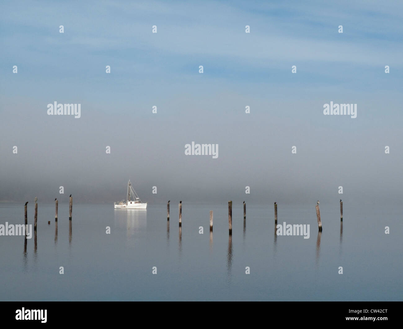 Sailboat in the sea, Seabeck Bay, Hood Canal, Seabeck, Washington State, USA Stock Photo