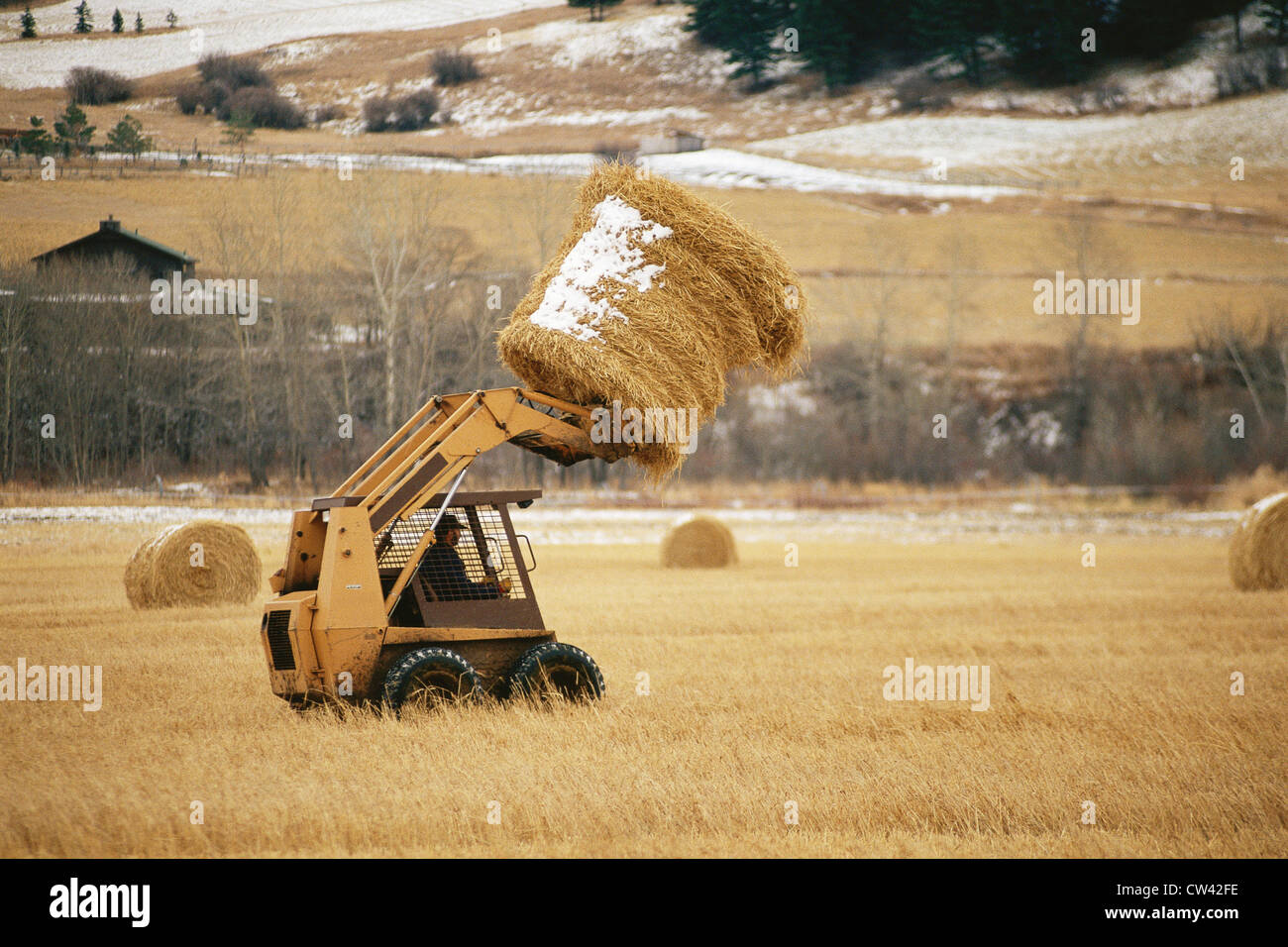 Skip loader moving hay bale Stock Photo Alamy