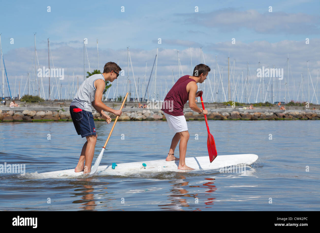 Two teenagers having fun stand up paddling on a windsurf board on a sunny summer day at the beach at Rungsted Harbour, Denmark. Stock Photo