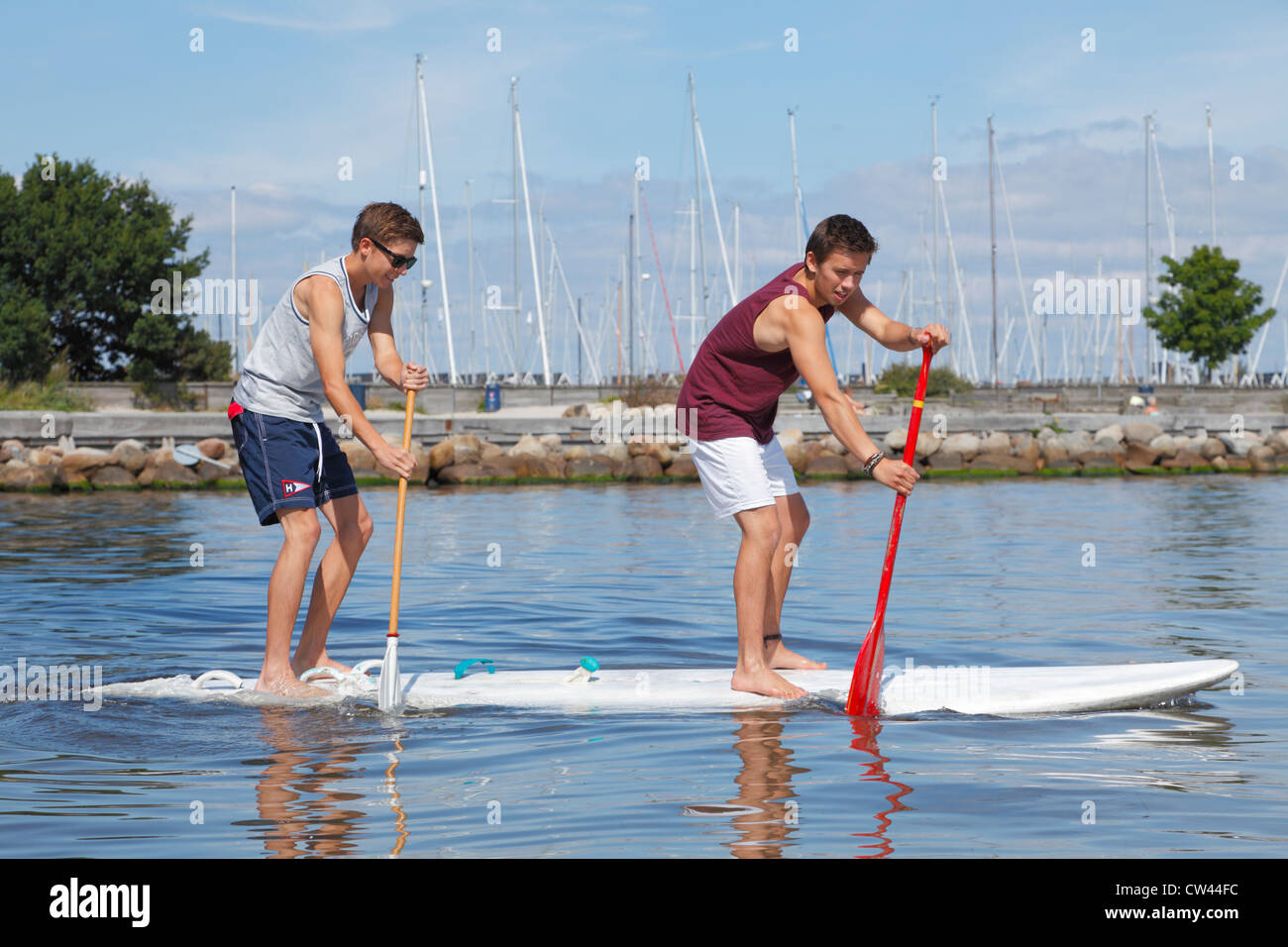 Two teenagers having fun stand up paddling on a windsurf board on a sunny summer day at the beach at Rungsted Harbour, Denmark. Paddleboarders. Stock Photo