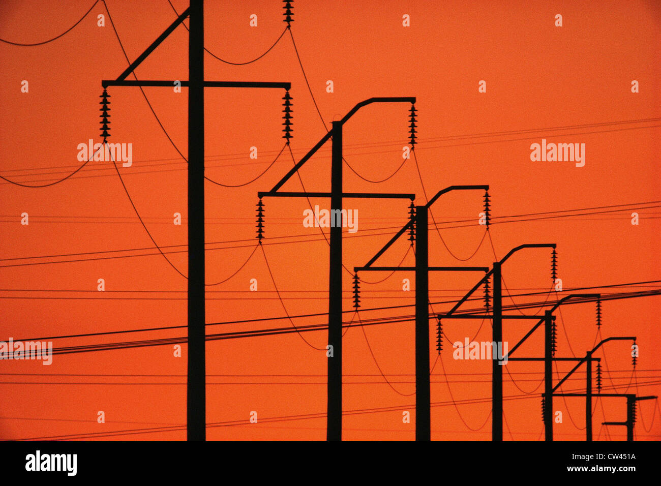 Silhouetted telephone lines Stock Photo Alamy