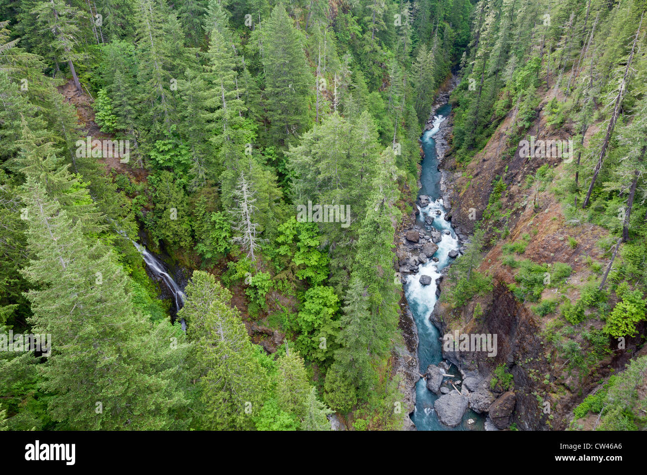 USA, Washington State, Olympic National Forest, Skokomish River Stock Photo