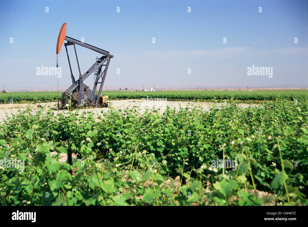 Pump jack oil well in field Stock Photo Alamy