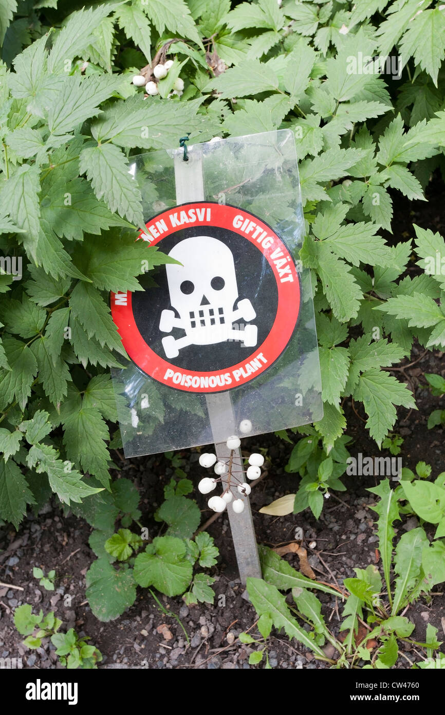 poisonous plant warning Stock Photo