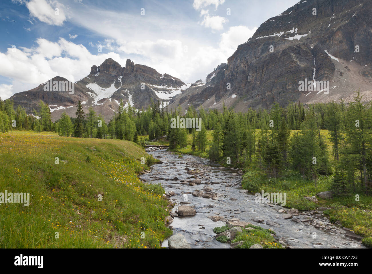 Canada, Mount Assiniboine Provincial Park, Gog Lake meadows, The Towers and Naiset Point, Gog lake outlet Stock Photo