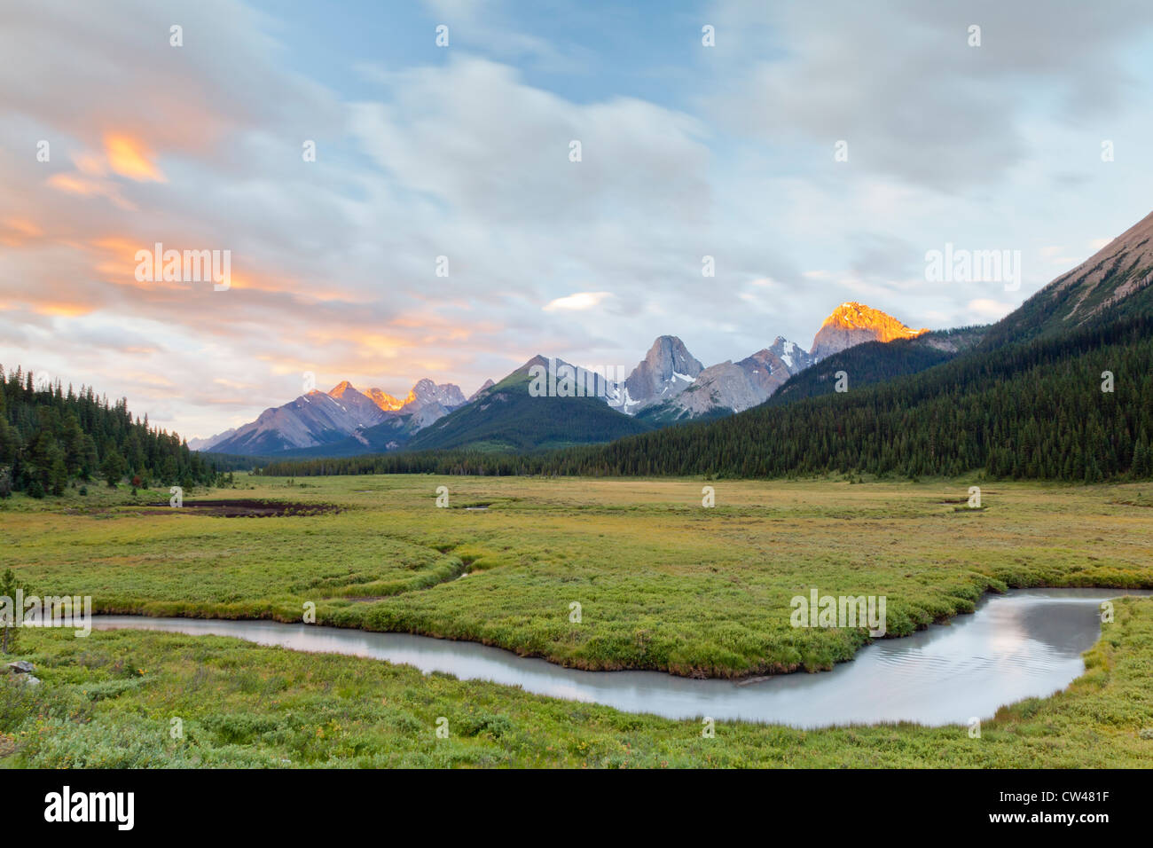 Canada, Spray Valley Provincial Park, Mount. Engadine Meadows at sunrise Stock Photo