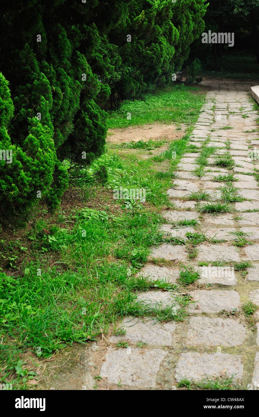 Stepping Stone Path in a Peaceful Green Garden Stock Photo - Alamy