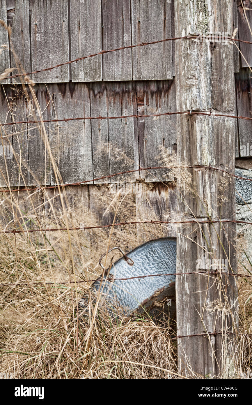 USA, Washington, Silverdale, Historic Petersen Farm, barbed wire fence