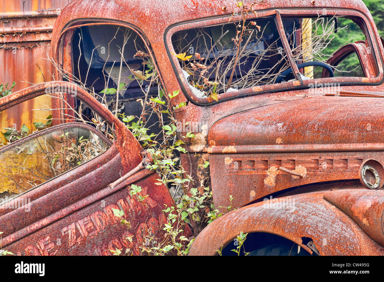 Abandoned truck, Kestner Homestead, Quinault Rainforest, Olympic National Park, Washington State, USA Stock Photo